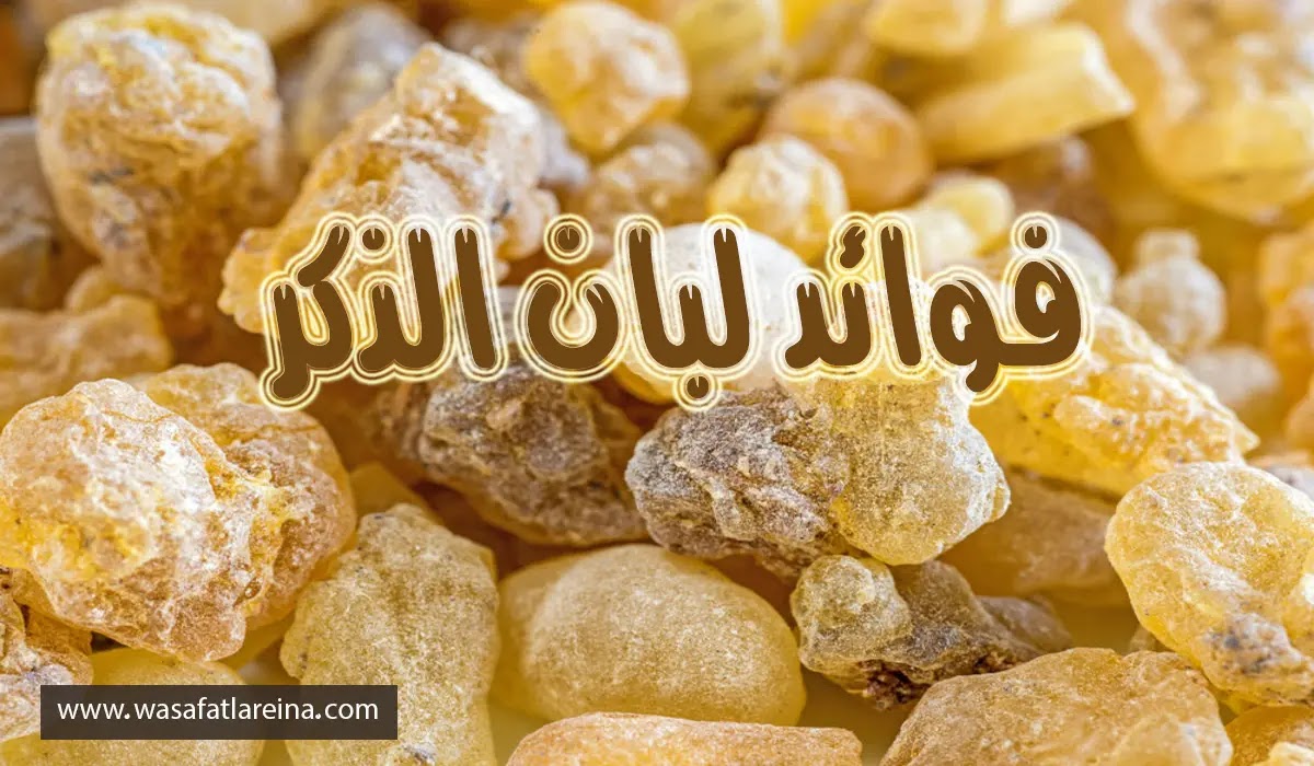 Cursed Eyelash متخصص في مزج قناع لبان الذكر مع ماء الورد لملء الوجه Myfirstdirectorship Com