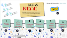 BECAS NEAE