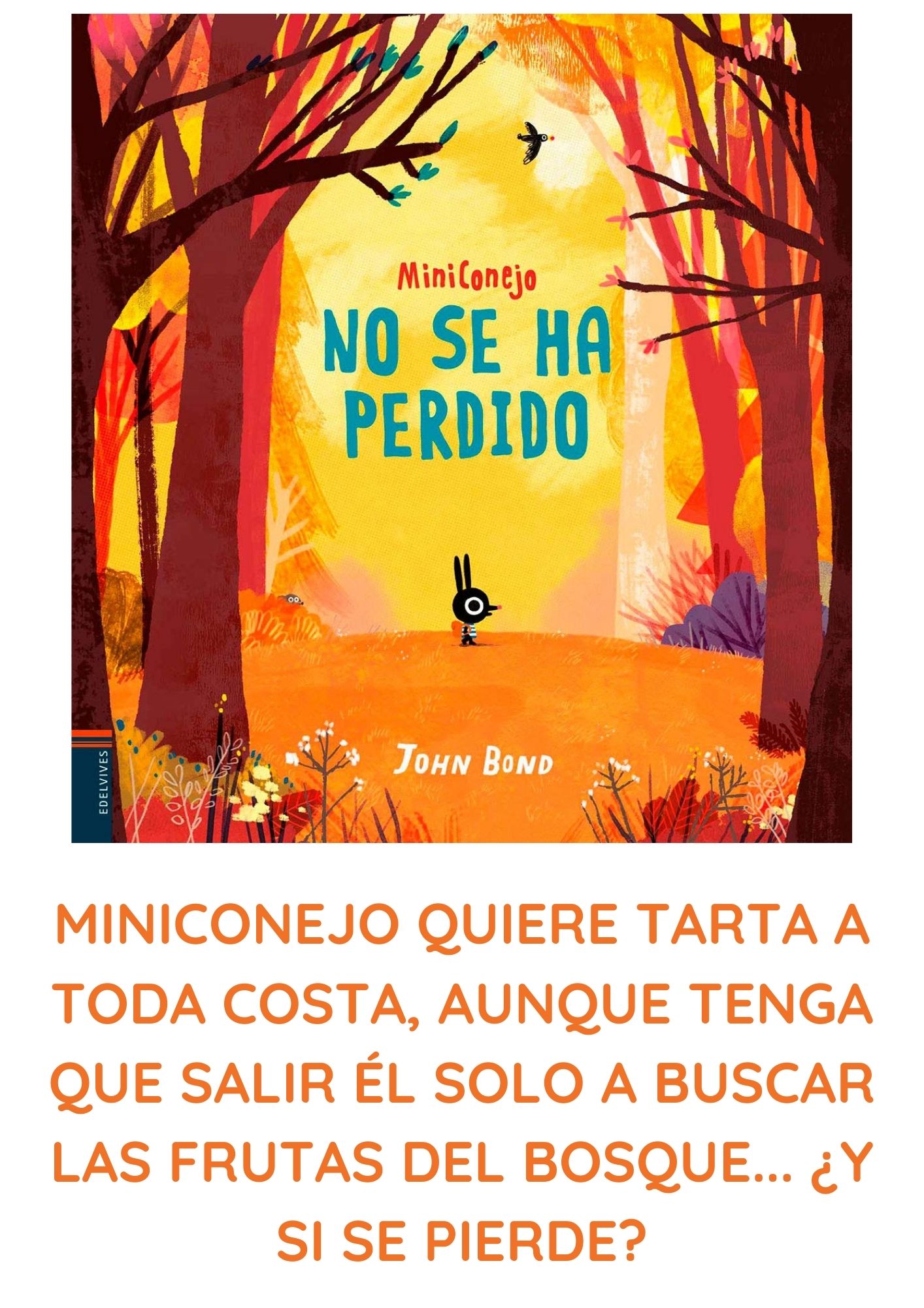 BIBLIOTECA MUNICIPAL DE VILLAR DE OLALLA