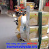 TÌM ĐẠI LÝ PHÂN PHỐI VÀ CỘNG TÁC VIÊN GẠO MẦM VIBIGABA