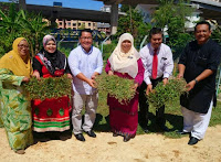 Projek Wakaf Rumput