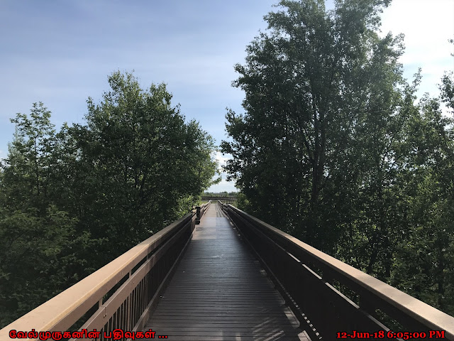 Potter Marsh Board Walk