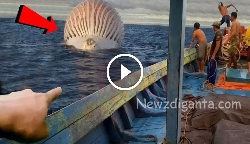 கேமராவில் பதிவாகலனா இந்த சம்பவத்தை யாரும் நம்பி இருக்க மாட்டிங்க – வீடியோ கேமராவில் பதிவாகலனா இந்த சம்பவத்தை யாரும் நம்பி இருக்க மாட்டிங்க – வீடியோ