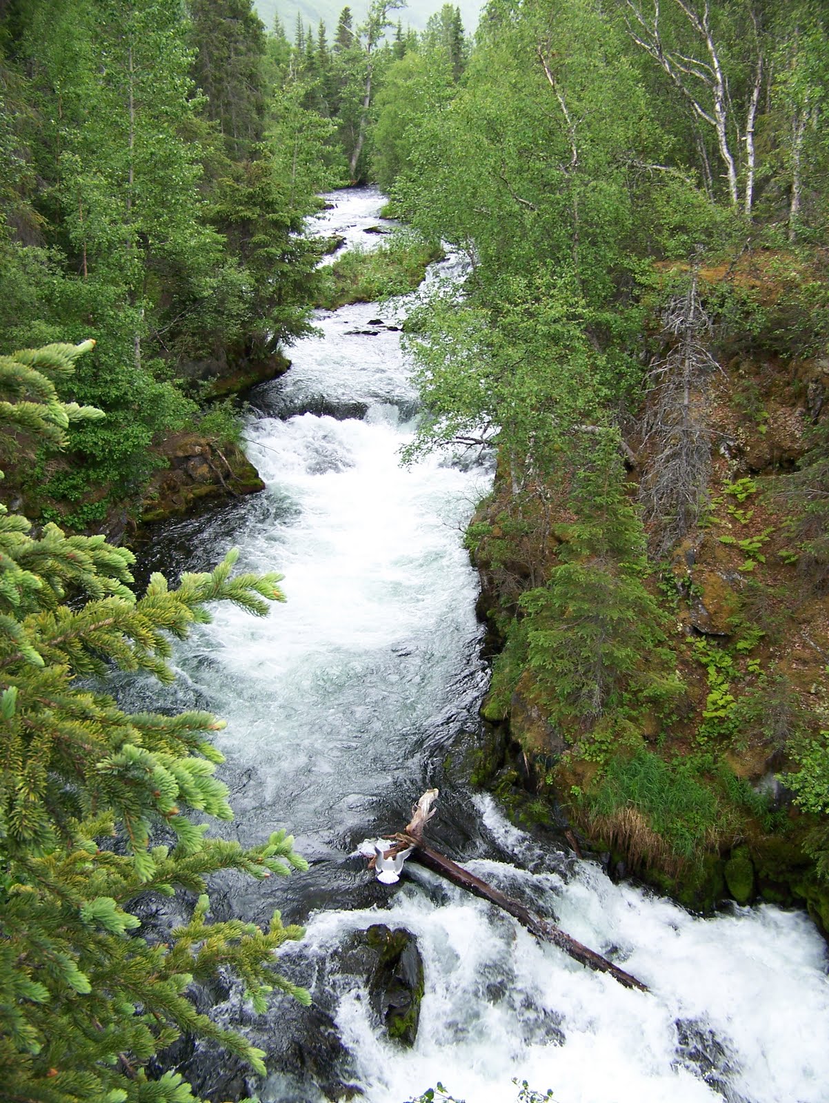 The Kenai Alaska Vacation Blog RUSSIAN RIVER FALLS