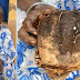 72 year old man caught with human skull in Osun State, says “Na Mistake!”