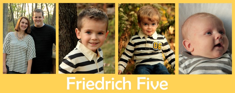 Friedrich Five