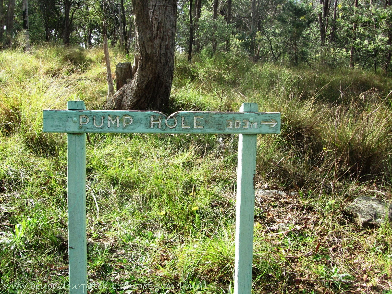Bullocky's Rest, Pump Hole & Hartmann Park, Crows Nest, Qld, 13/06/2011