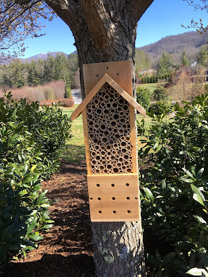 .: Chillin on a Chilly Day