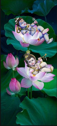 vishu images