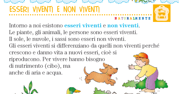 Vivacemente Il Giornalino Del Cuore E Della Mente Esseri Viventi E Non Viventi Regno Animale Vegetale Minerale