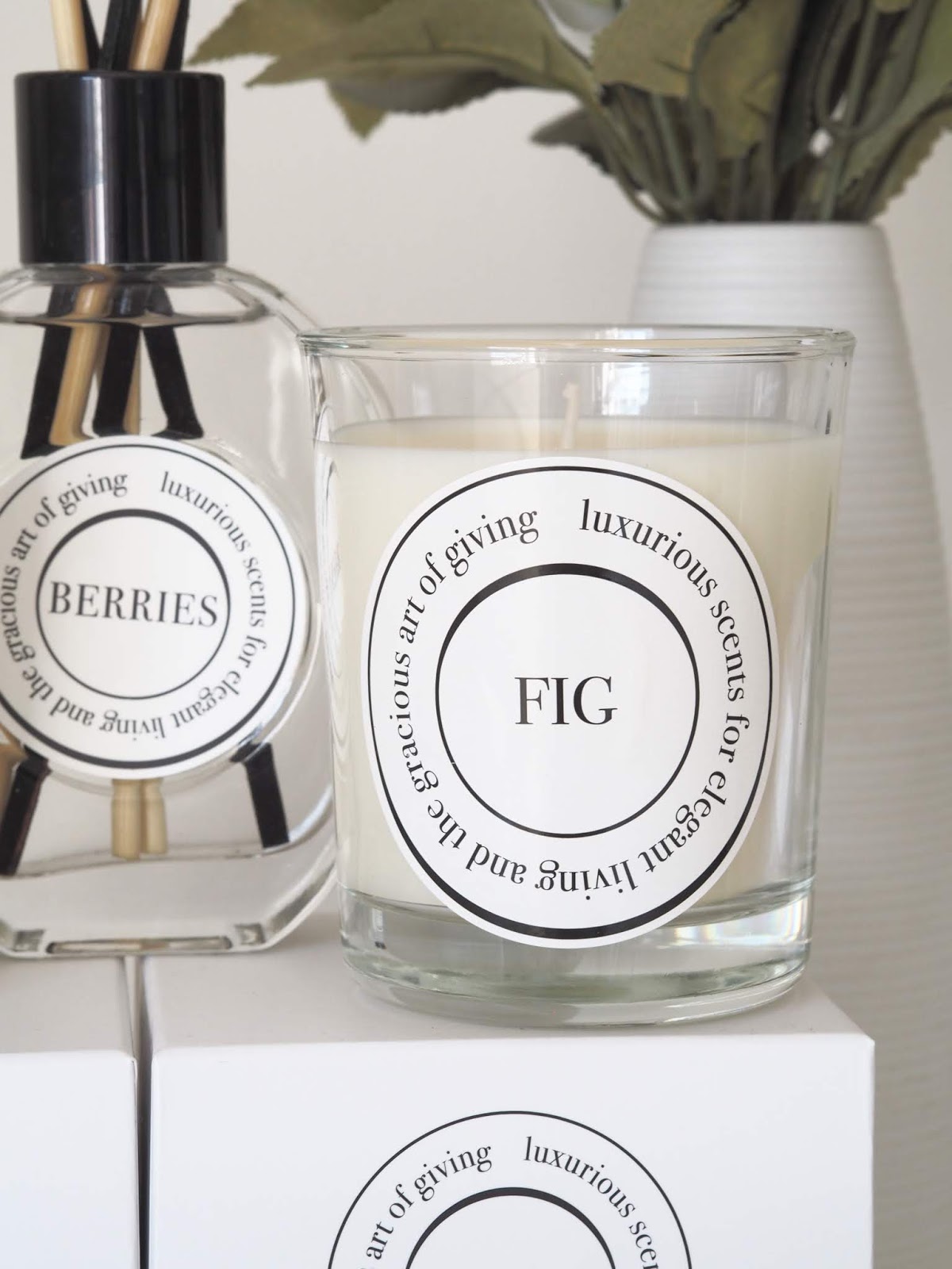 Aldi Diptyque dupes Priceless Life Of Mine