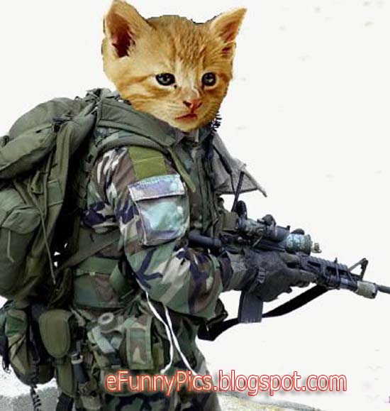 Cat+Army.jpg