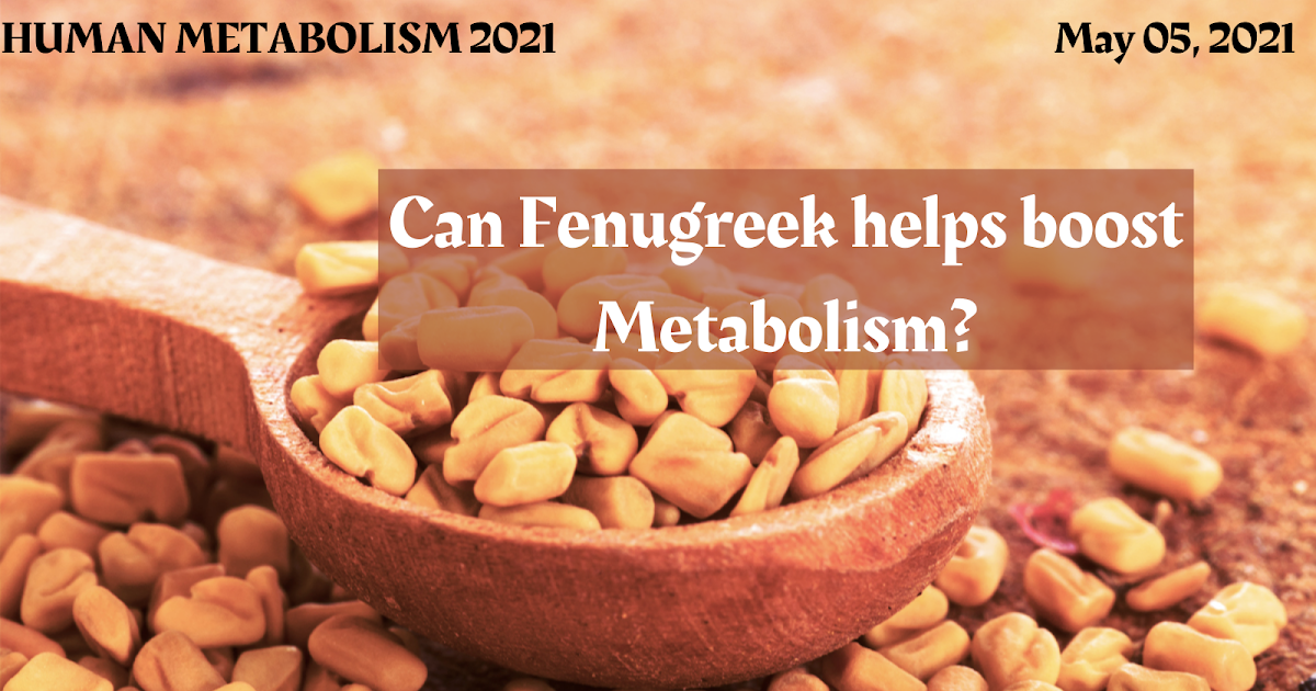 Can Fenugreek helps boost Metabolism?