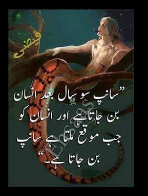 Qutoes | Urdu Quotes | Life Quotes | Urdu Quotes About Life | Short Quotes | Daily Quotes | Urdu Quotes,, Urdu poetry on love, Urdu poetry on photo, Urdu poetry picture, Urdu poetry quotes, Urdu poetry sad images, Urdu poetry sad love, Urdu poetry Shayari, Urdu poetry two lines, Urdu poetry youtube, very sad Urdu poetry, Urdu poetry with images, urdu poetry Yaad, Urdu poetry 2 lines,2 line Urdu poetry,2 line Urdu poetry facebook, 2 line Urdu poetry romantic, 