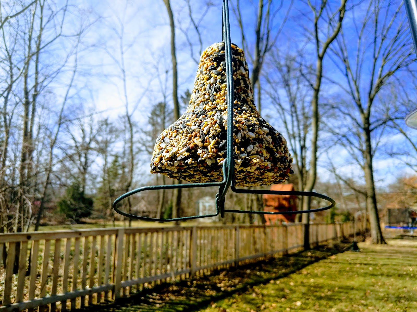 Giving the Bird Seed Bell Another Shot