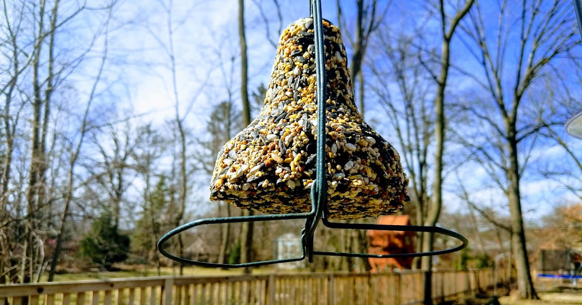 Giving the Bird Seed Bell Another Shot
