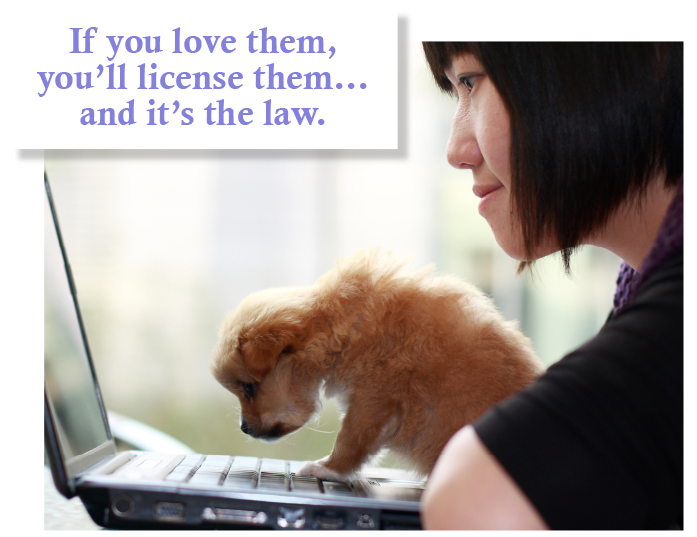 Montgomery County Updates It is the Law in Montgomery County to License Your Pet Dogs and Cats