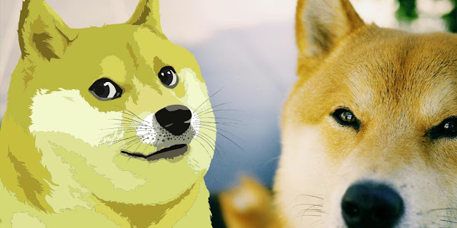 Les NewsQuakes renforcent l'engouement pour DOGE, tandis que le score TEL sonne l'alarme pour les opérateurs.