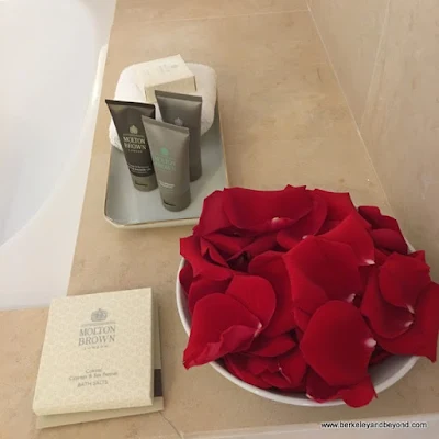 red rose petals ready for a bath at Taj Campton Place San Francisco