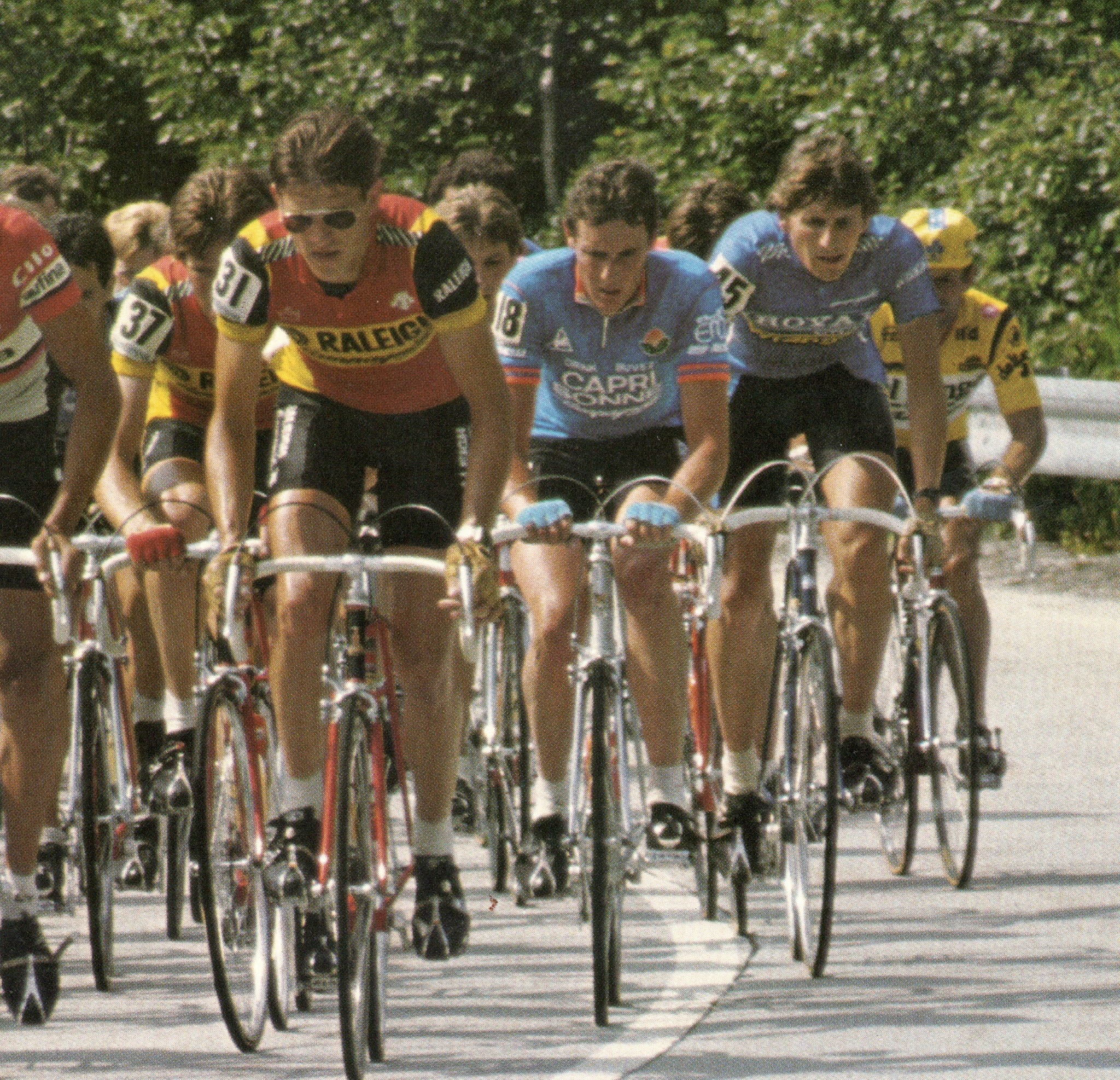 Fabio Farelli Steven Rooks