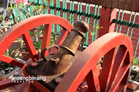 kelenteng ban hing kiong manado