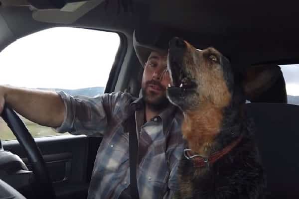 Pet Has 1 Favorite Country Track She Can't Withstand Singing With Owner