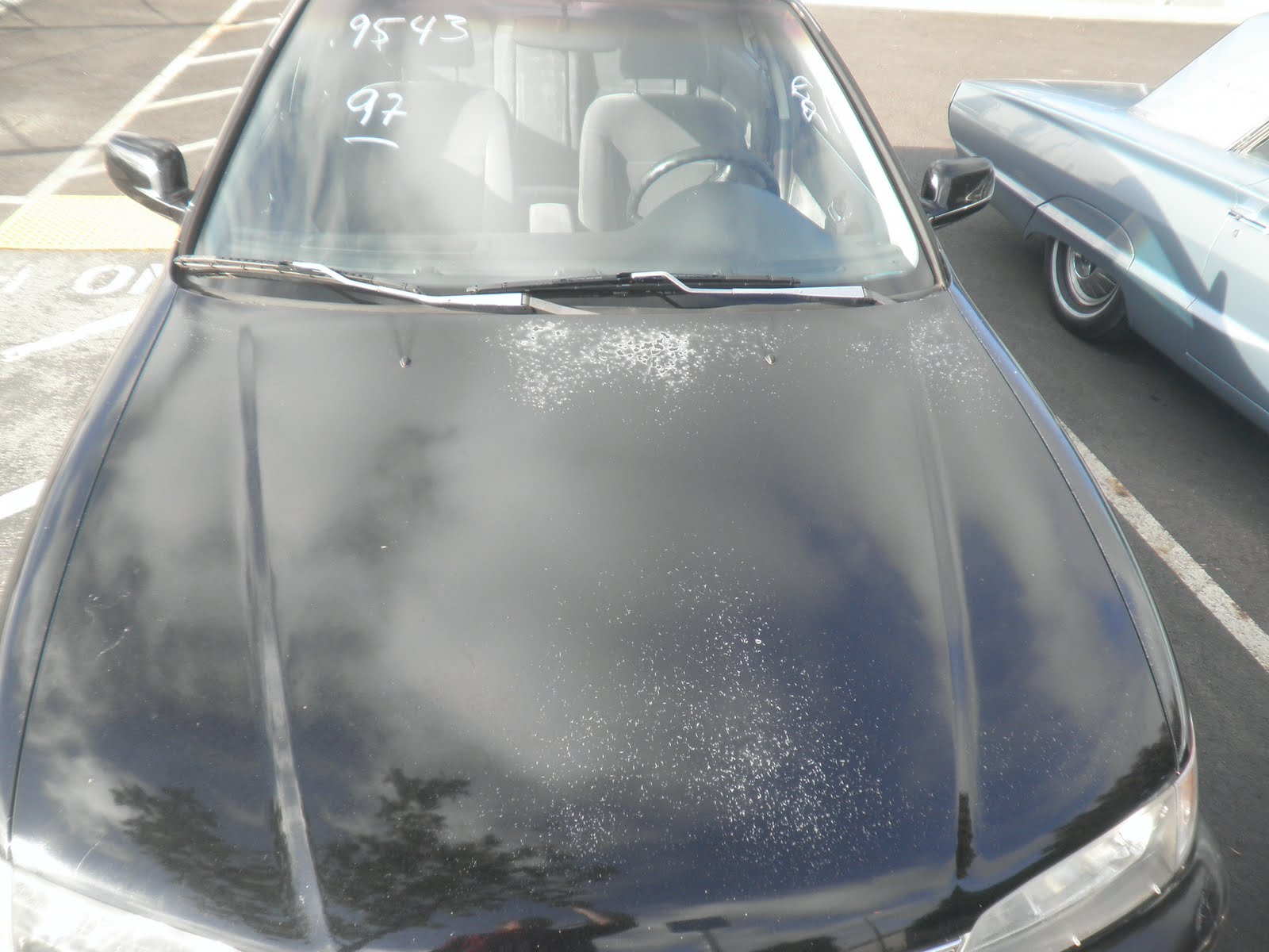 Auto BodyCollision RepairCar Paint in FremontHaywardUnion CitySan