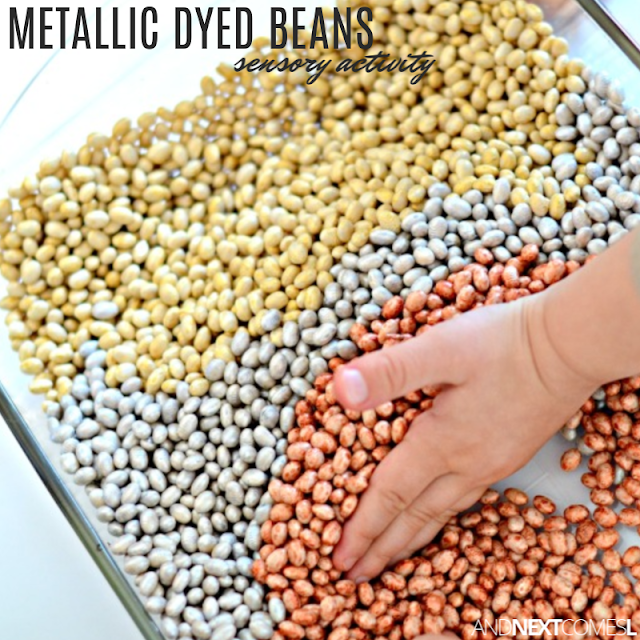 Metallic Dyed Beans {How to Dye Beans for Sensory Play} And Next