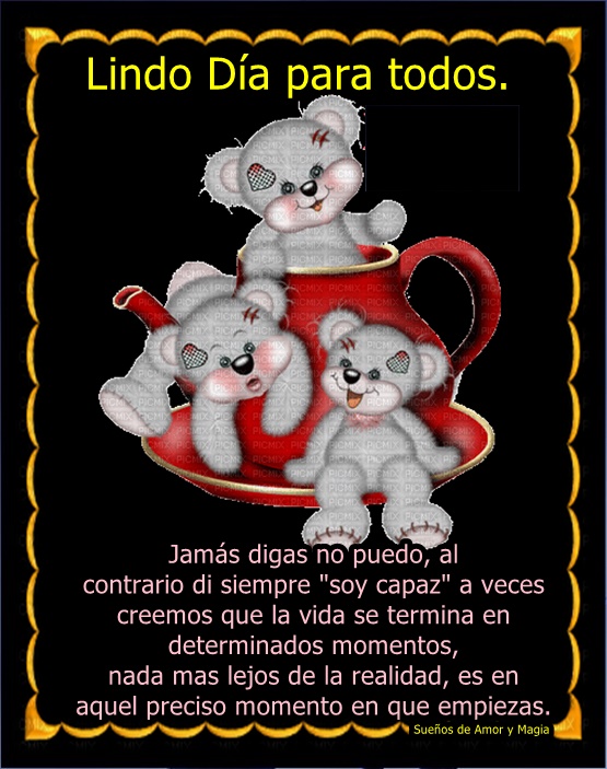 Ver las imágenes de origen