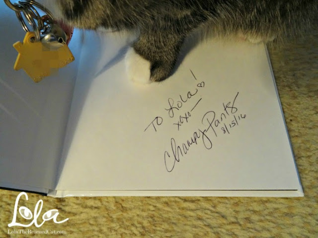 Champy pants the blind siamese kitty|book reviews