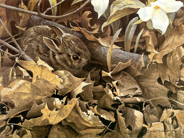 Роберт Бейтмэн / Robert Bateman Among the Leaves - Cottontail Rabbit, 1977