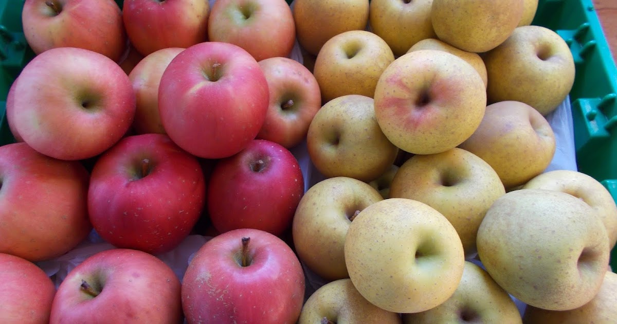 Brenda's Berries & Orchards Still Many 'Enterprise' & 'Gold Rush' Apples