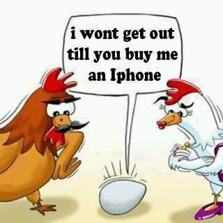 funny chicken baby demanding iphone
