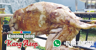 Kambing Guling di Rancaekek Bandung Murah,Kambing Guling di Rancaekek Bandung,Kambing Guling di Rancaekek,kambing guling rancaekek,kambing guling rancaekek bandung,kambing guling,