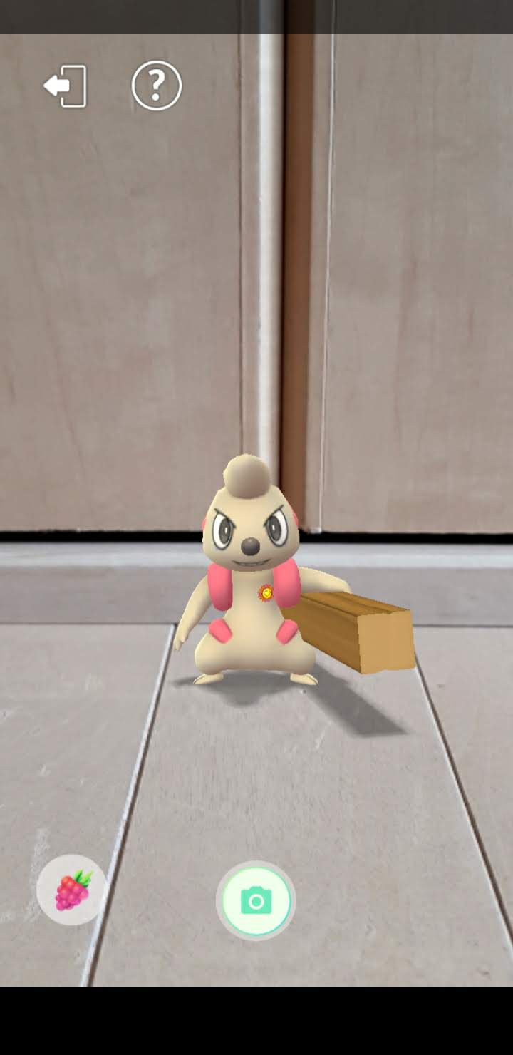 相棒 と 遊ぶ やり方 Article