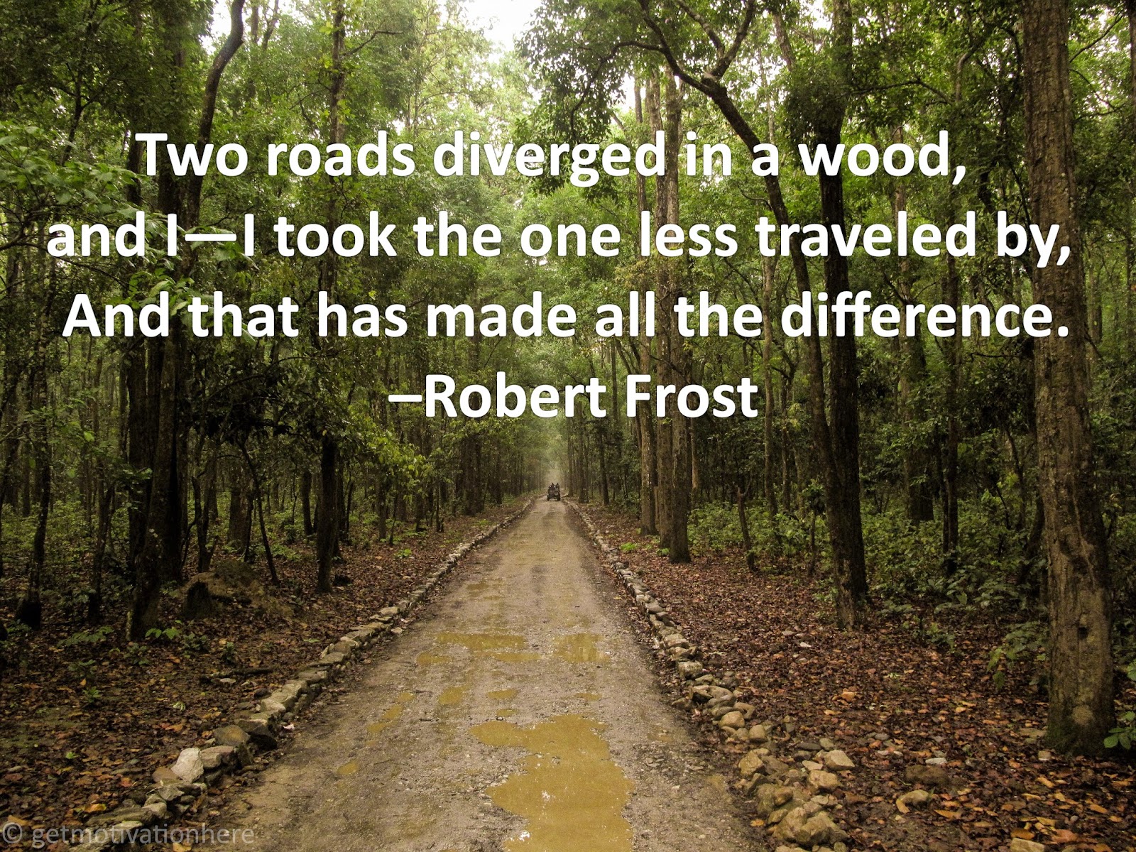 Get Motivation Here- Daily Motivation: Two roads diverged in a wood ...