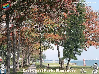 Activities to do in East Coast Park Singapore
