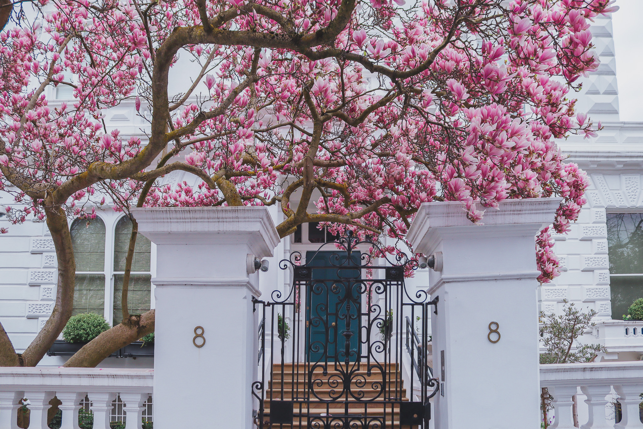 8 The Boltons in Bloom, London