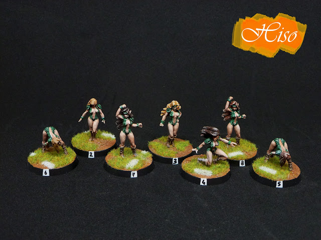 Blood Bowl Amazone Silvania Elves