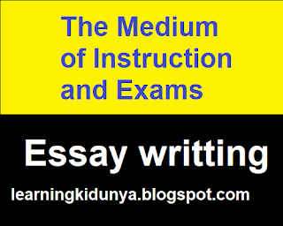 The Medium of Instruction and Exams