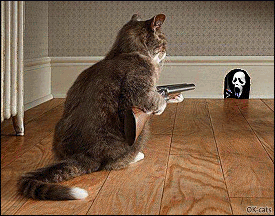 Art Cat GIF • “If you walk into my room, I'll shoot you and I'll kill you! I saw you in the horror movie 'Scream'!!!” Art Cat GIF • “If you walk into my room, I'll shoot you and I'll kill you! I saw you in the horror movie 'Scream'!!!”