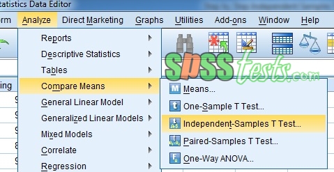 Step By Step Independent Samples T Test In Spss 21 Spss Tests