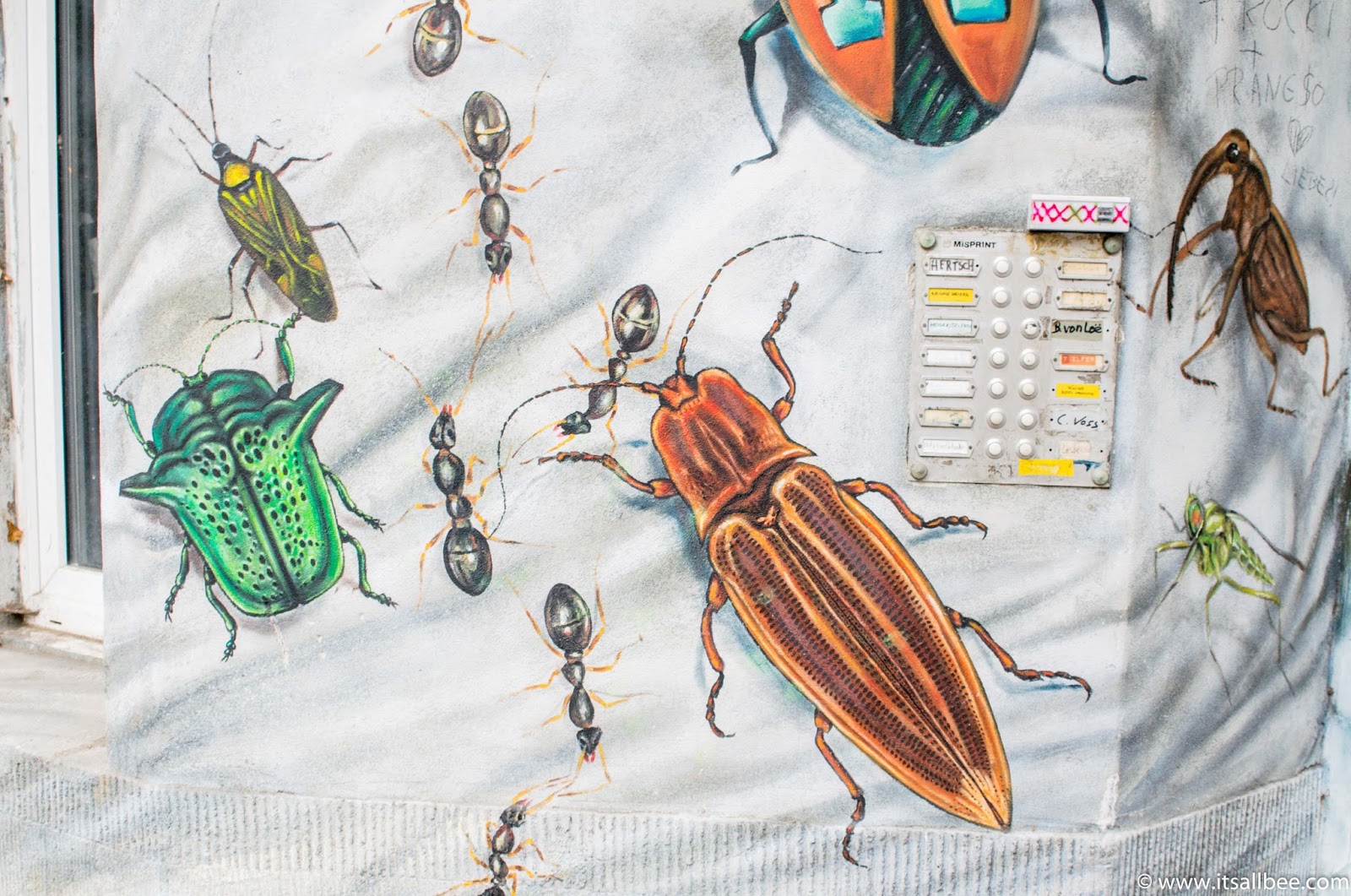 Dusseldorf Kiefernstrasse Street Art | A Colourful Side of Dusseldorf You Need To See