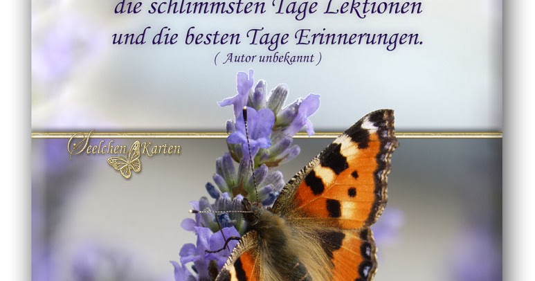 Seelchen Karten und Collagen Jeder Tag ist kostbar!