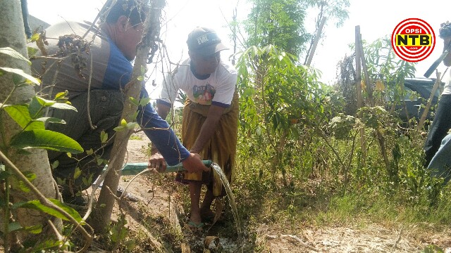 2019, Dinas Pertanian Lotim Telah Tuntaskan Pembangunan Sarana dan Prasarana Pertanian