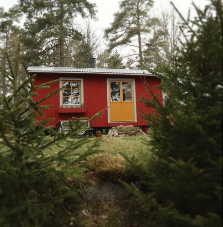 You've Never Seen A Tiny House Like This Before! 