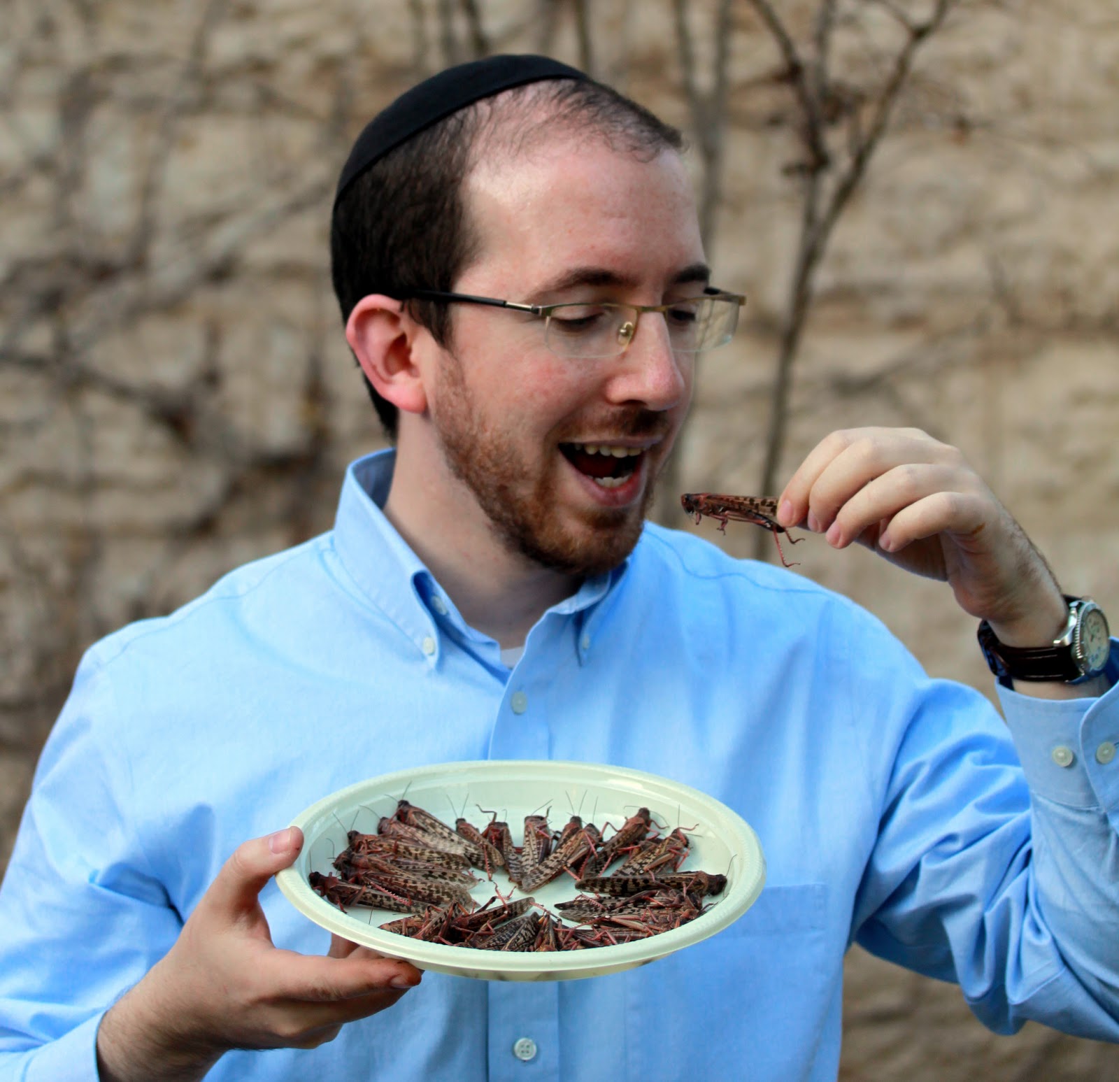 How Do You Eat A Locust at Henry Max blog