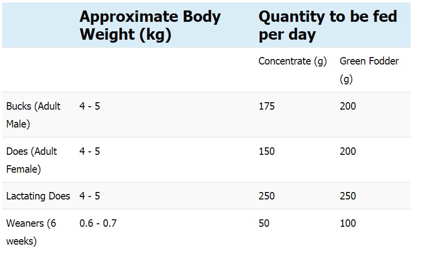 Best Concentrate feed formula for rabbits breeding