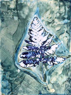 Wet cyanotype_Sue Reno_Image 734