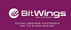 BITWINGS - SECURE CONSUMER ELECTRONICS FOR THE BLOCKCHAIN ERA